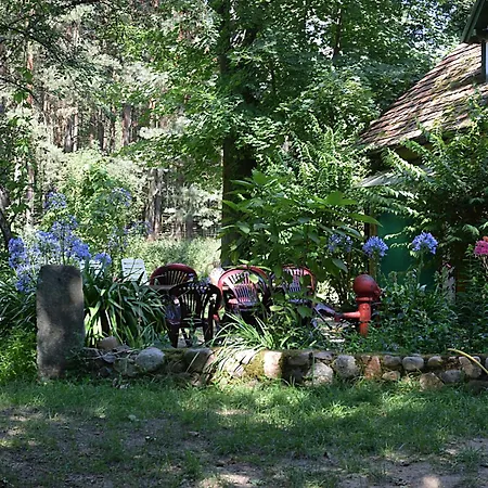 Mysliwski Zatom Nowy