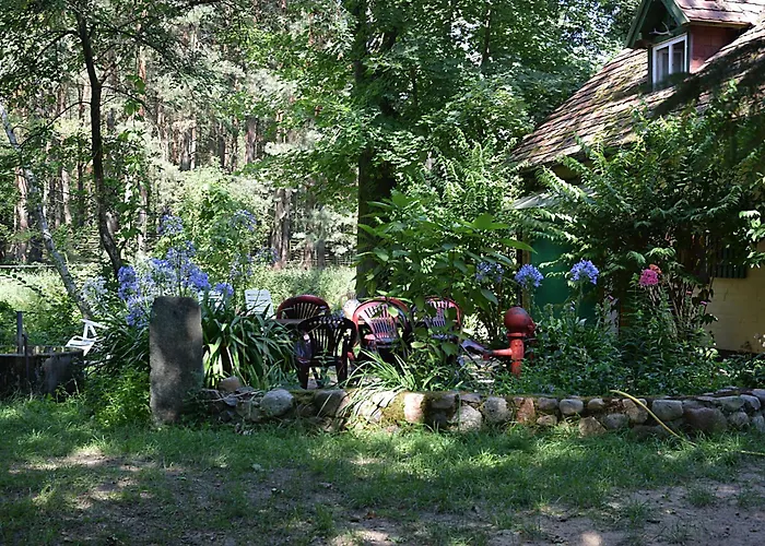 Mysliwski Zatom Nowy